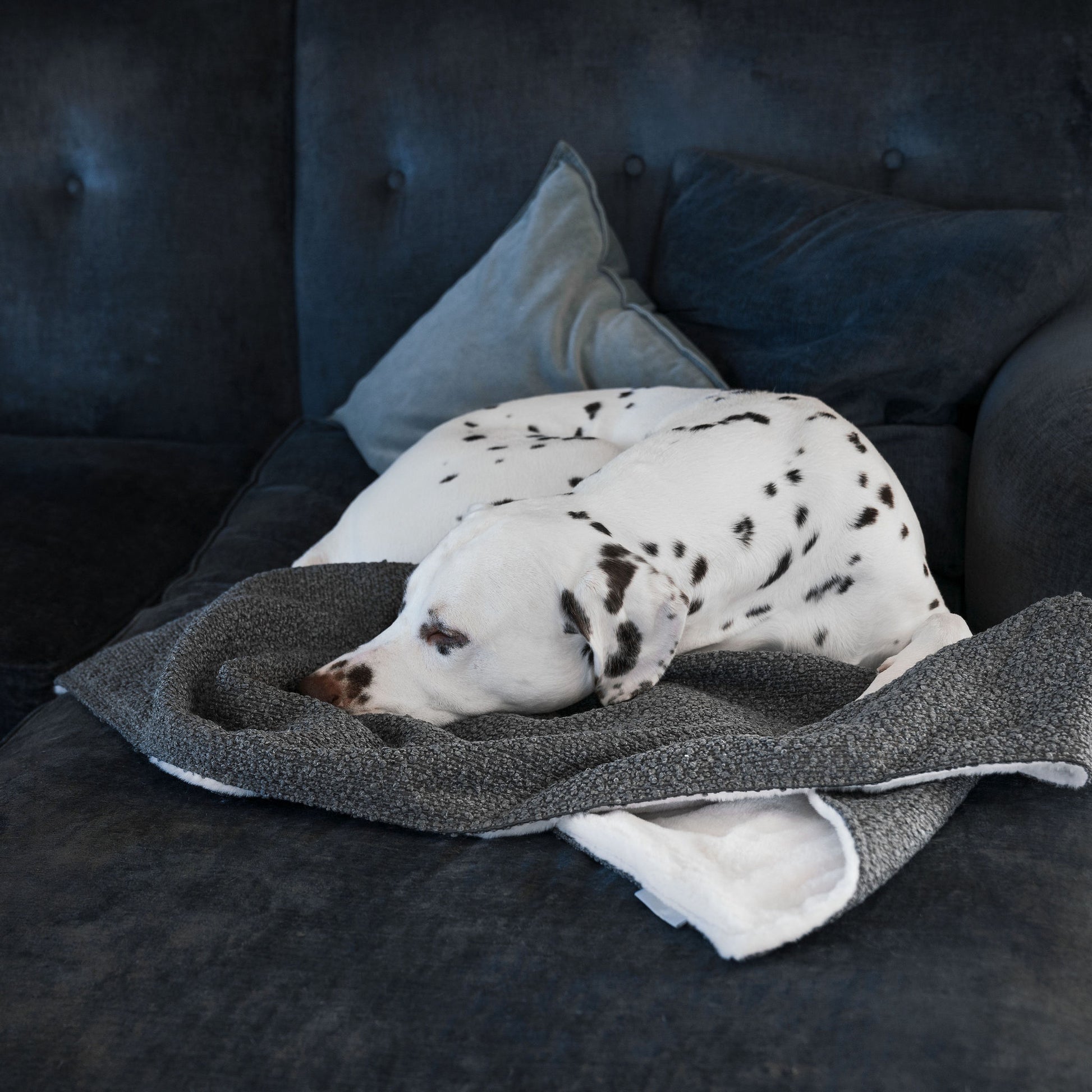 Discover Our Luxurious Dog Blanket In Luxury Granite Bouclé Super Soft Sherpa & Teddy Fleece Lining, The Perfect Blanket For Puppies, Available To Personalize And In 2 Sizes Here at Lords & Labradors US