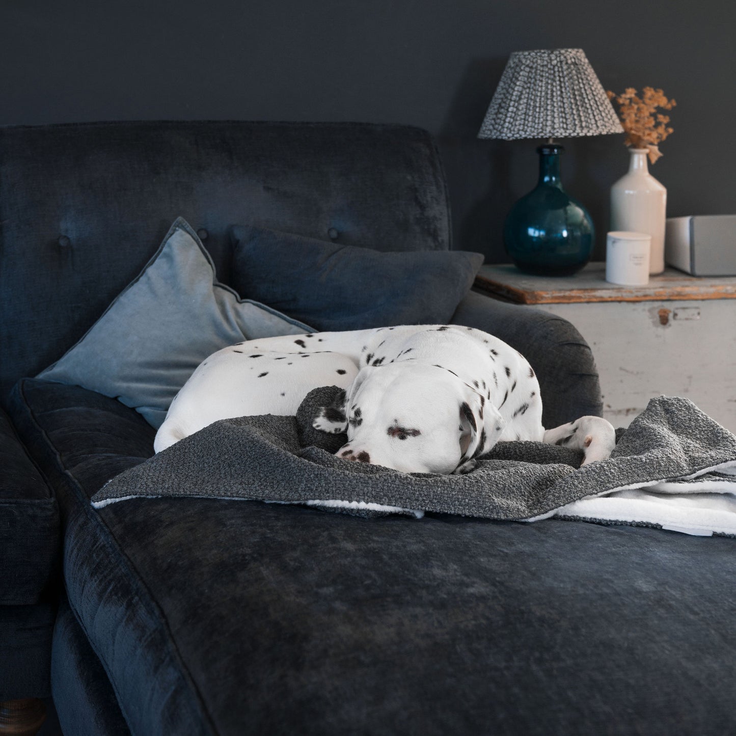 Discover Our Luxurious Dog Blanket In Luxury Granite Bouclé Super Soft Sherpa & Teddy Fleece Lining, The Perfect Blanket For Puppies, Available To Personalize And In 2 Sizes Here at Lords & Labradors US