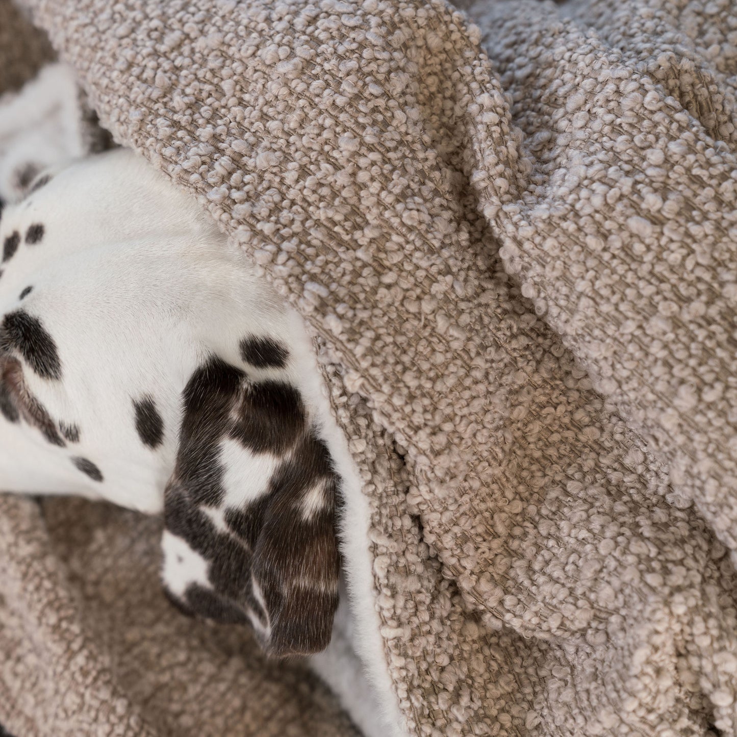 Discover Our Luxurious Dog Blanket In Luxury Mink Bouclé Super Soft Sherpa & Teddy Fleece Lining, The Perfect Blanket For Puppies, Available To Personalize And In 2 Sizes Here at Lords & Labradors US