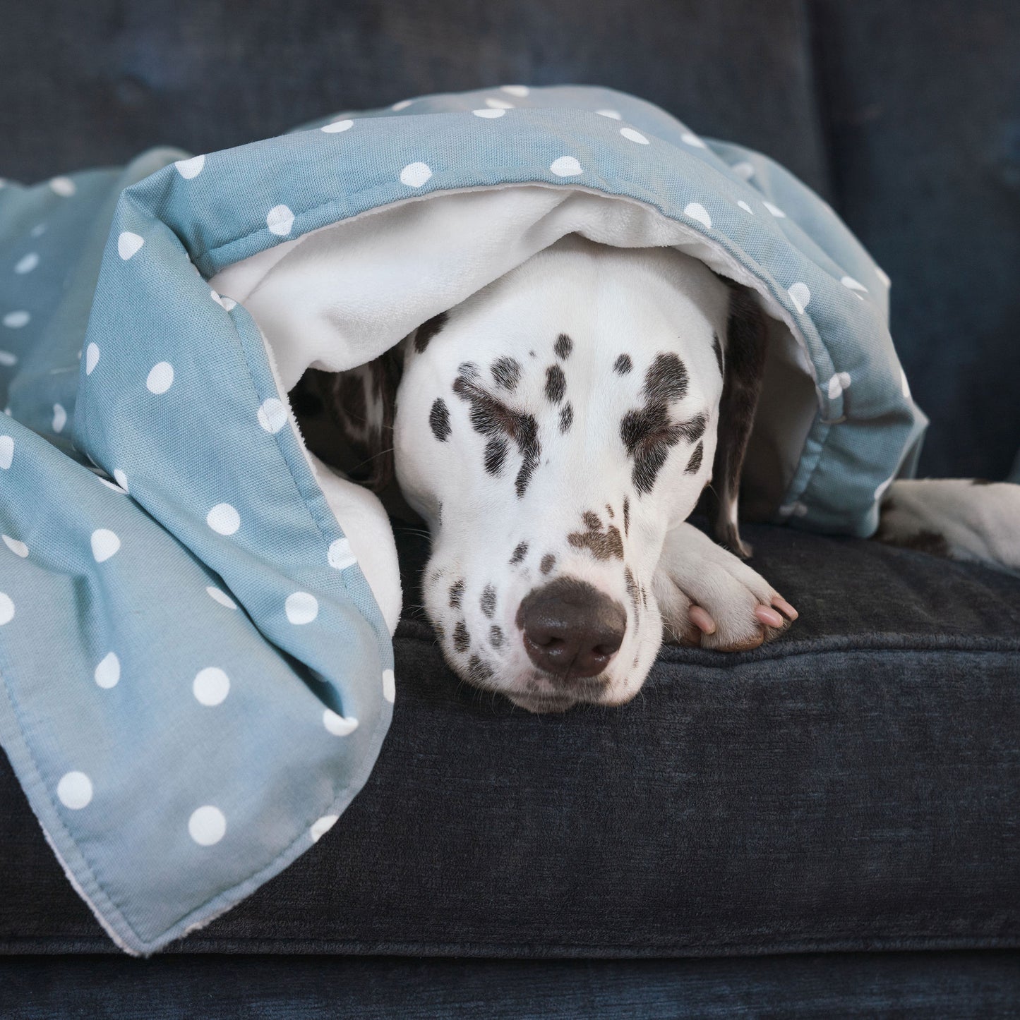 Discover Our Luxurious Dog Blanket In Stunning Duck Egg Spot, The Perfect Blanket For Puppies, Available To Personalize And In 2 Sizes Here at Lords & Labradors US