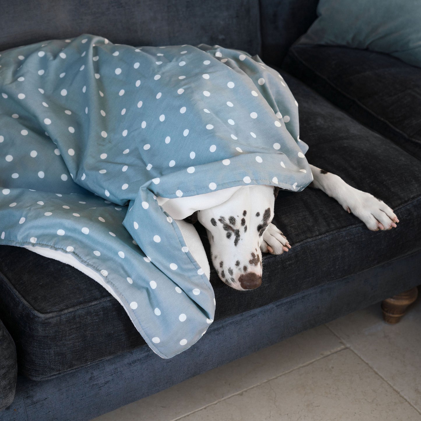 Discover Our Luxurious Dog Blanket In Stunning Duck Egg Spot, The Perfect Blanket For Puppies, Available To Personalize And In 2 Sizes Here at Lords & Labradors US