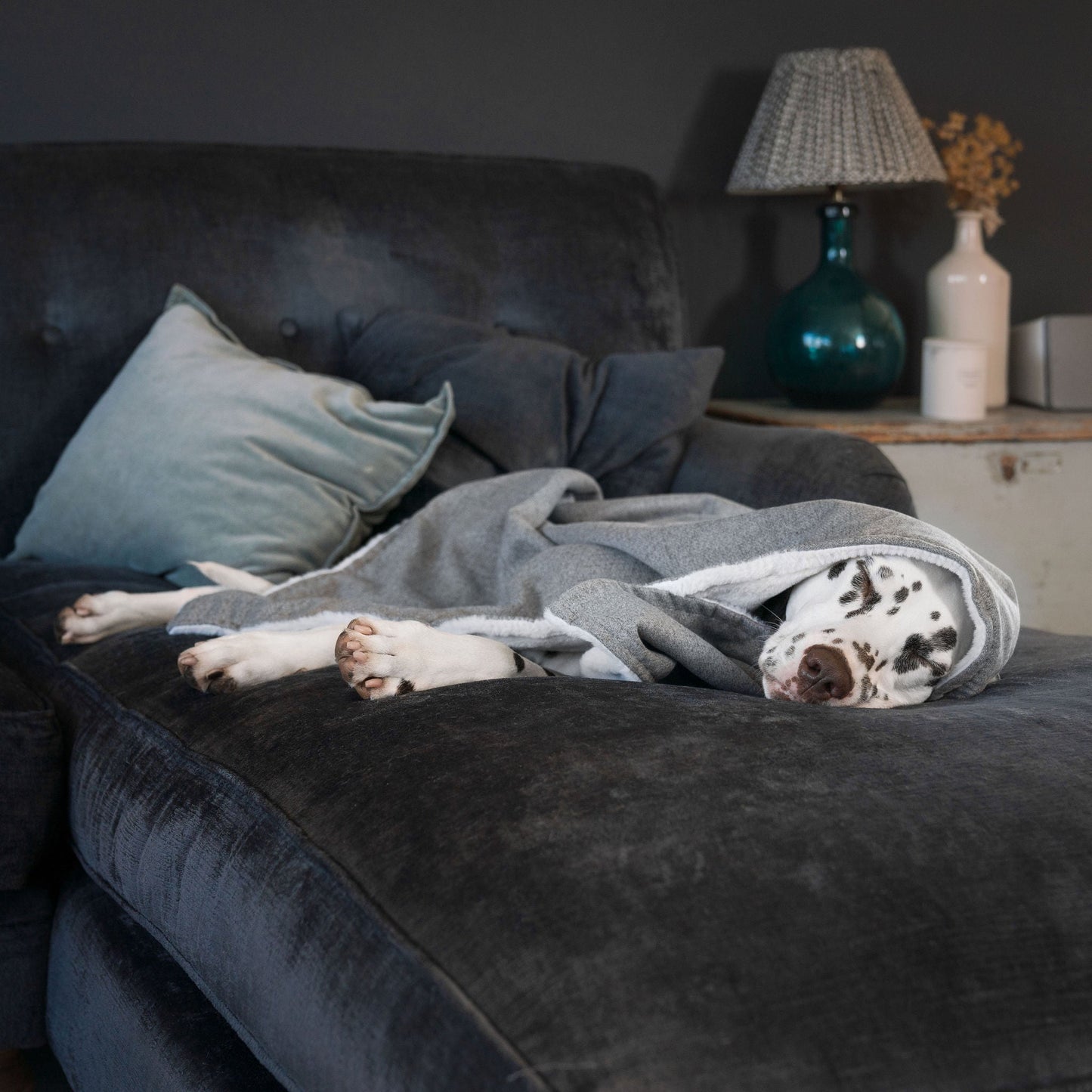 Discover The Perfect Blanket For Dogs! Help Delve Into a Cosy Burrow After Walks, Bath-Time or a Lazy Day Indoors! With Our Inchmurrin Dog Blanket In Stunning Dark Grey Ground! Available To Personalise Now at Lords & Labradors