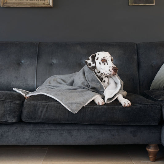 Discover The Perfect Blanket For Dogs! Help Delve Into a Cosy Burrow After Walks, Bath-Time or a Lazy Day Indoors! With Our Inchmurrin Dog Blanket In Stunning Dark Grey Ground! Available To Personalise Now at Lords & Labradors 
