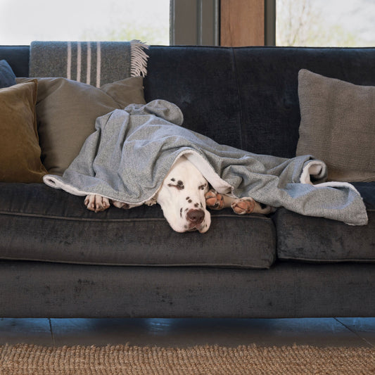Discover The Perfect Blanket For Dogs! Help Delve Into a Cosy Burrow After Walks, Bath-Time or a Lazy Day Indoors! With Our Inchmurrin Dog Blanket In Stunning Light Iceberg! Available To Personalise Now at Lords & Labradors 