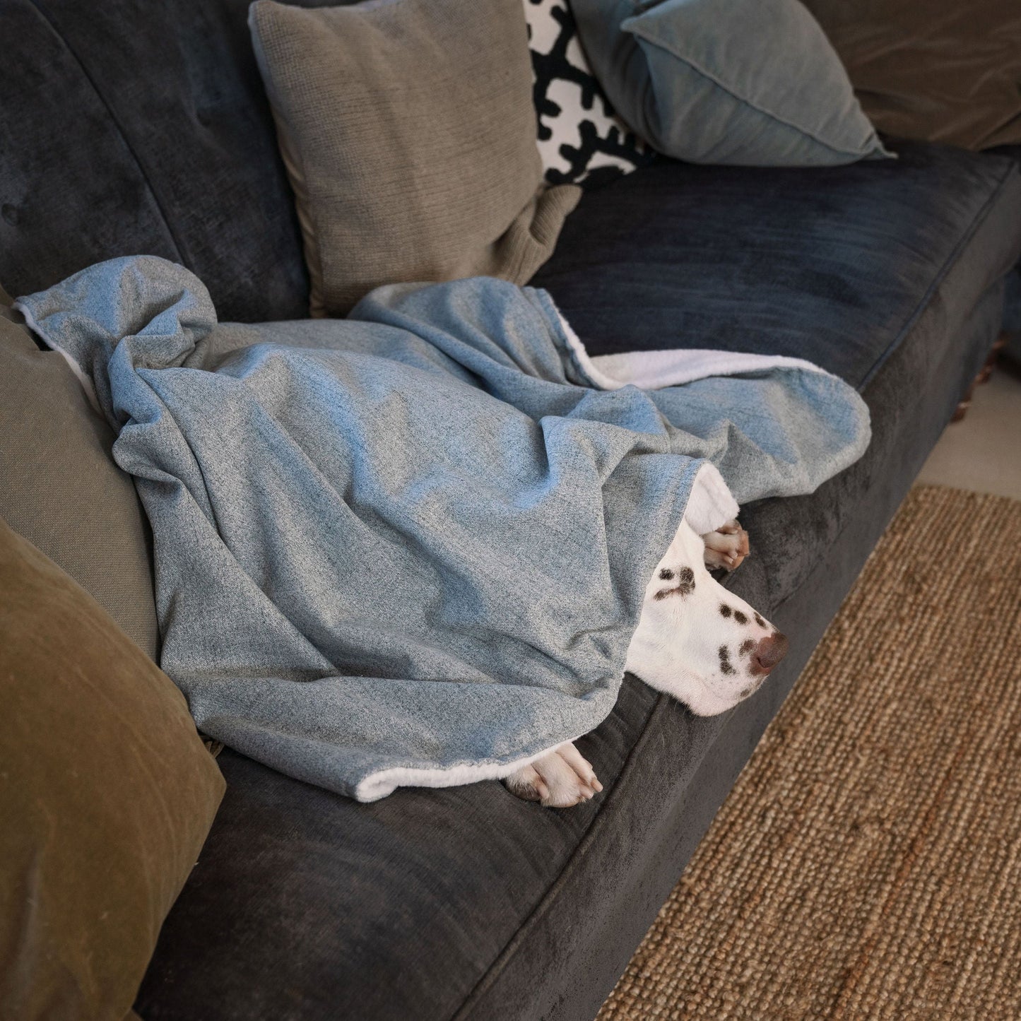 Discover The Perfect Blanket For Dogs! Help Delve Into a Cosy Burrow After Walks, Bath-Time or a Lazy Day Indoors! With Our Inchmurrin Dog Blanket In Stunning Light Iceberg! Available To Personalise Now at Lords & Labradors