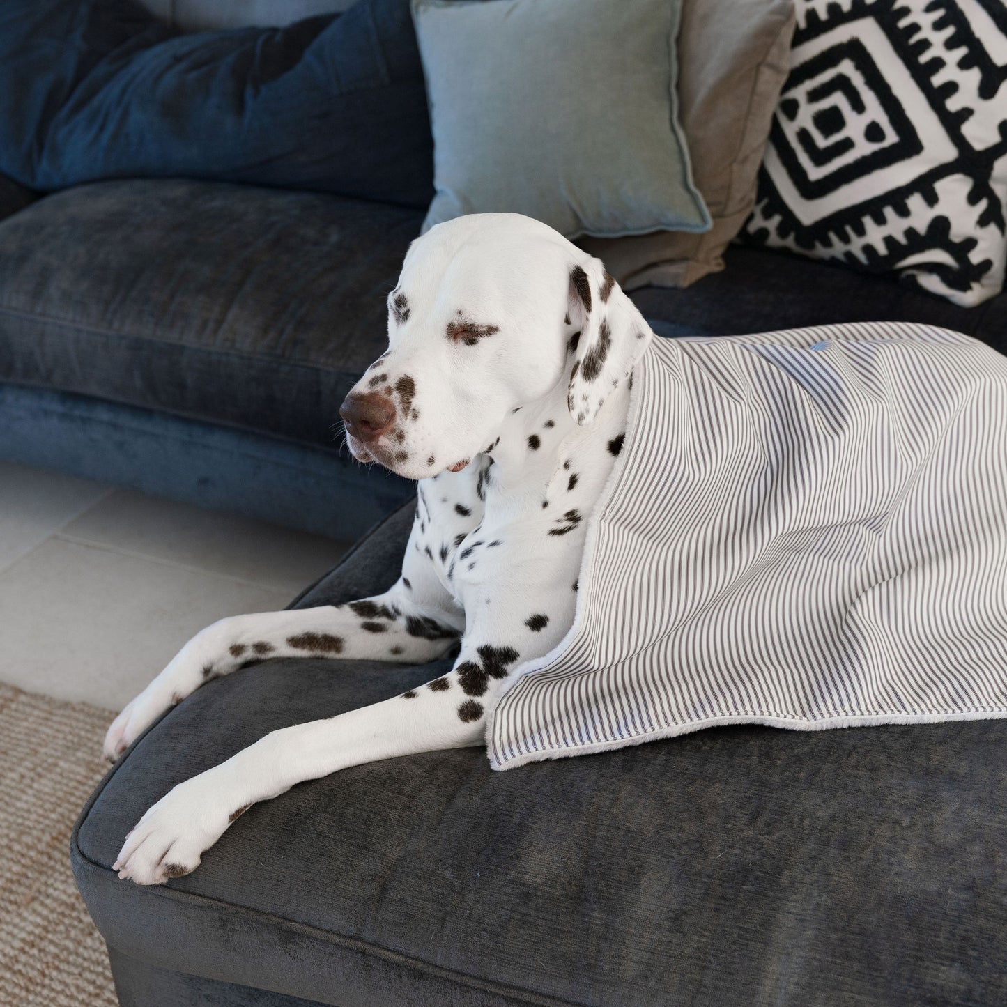 Discover Our Luxurious Dog Blanket In Stunning Regency Stripe, The Perfect Blanket For Puppies, Available To Personalize And In 2 Sizes Here at Lords & Labradors US