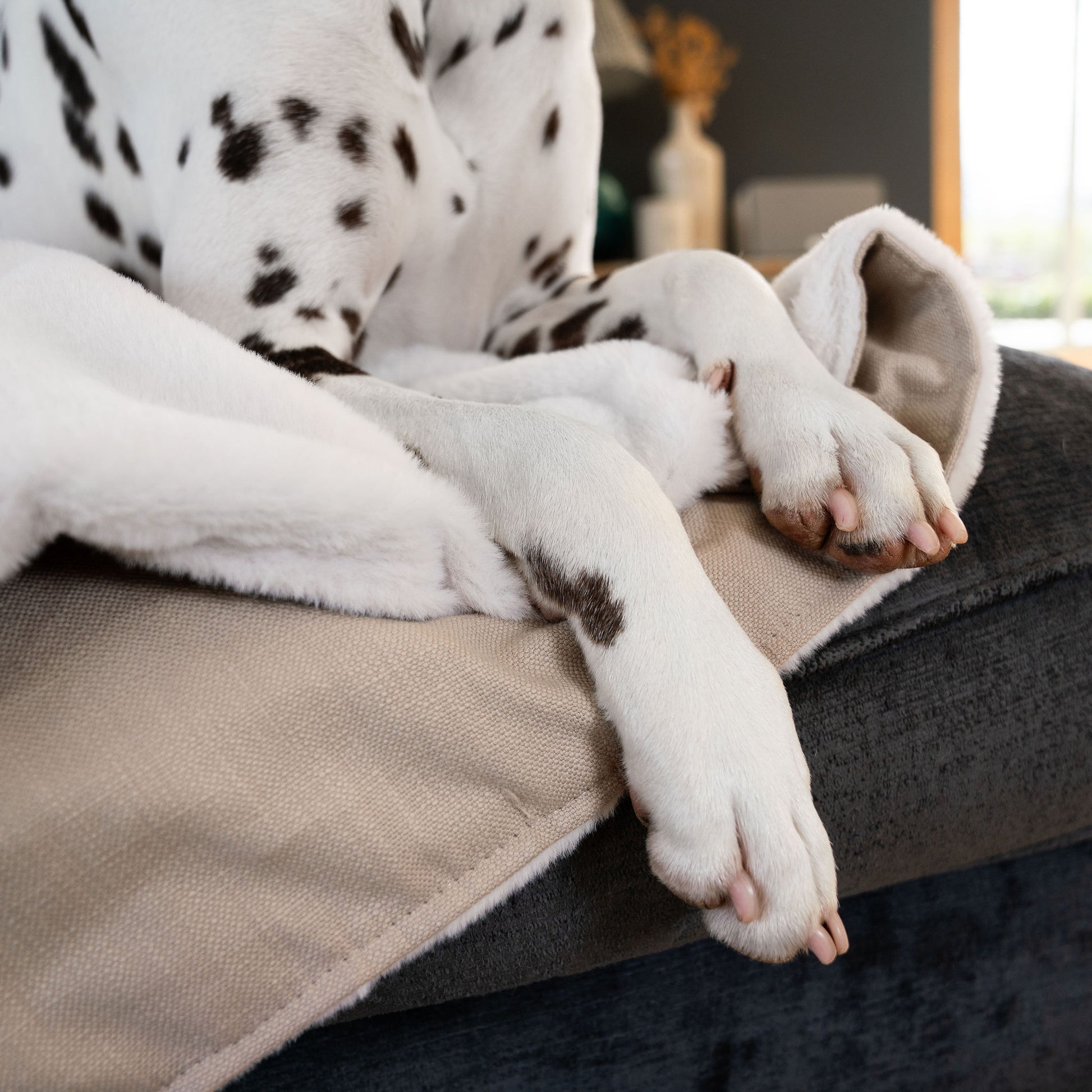 Discover Our Luxurious Savanna Oatmeal Dog Blanket With Super Soft Sherpa & Teddy Fleece, The Perfect Blanket For Puppies, Available To Personalize And In 2 Sizes Here at Lords & Labradors US