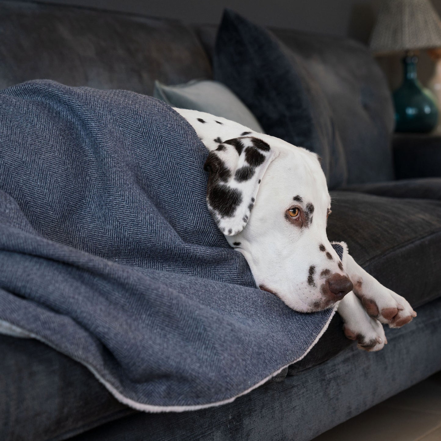 Discover Our Luxurious Oxford Herringbone Tweed Dog Blanket With Super Soft Sherpa & Teddy Fleece, The Perfect Blanket For Puppies, Available To Personalize And In 2 Sizes Here at Lords & Labradors US