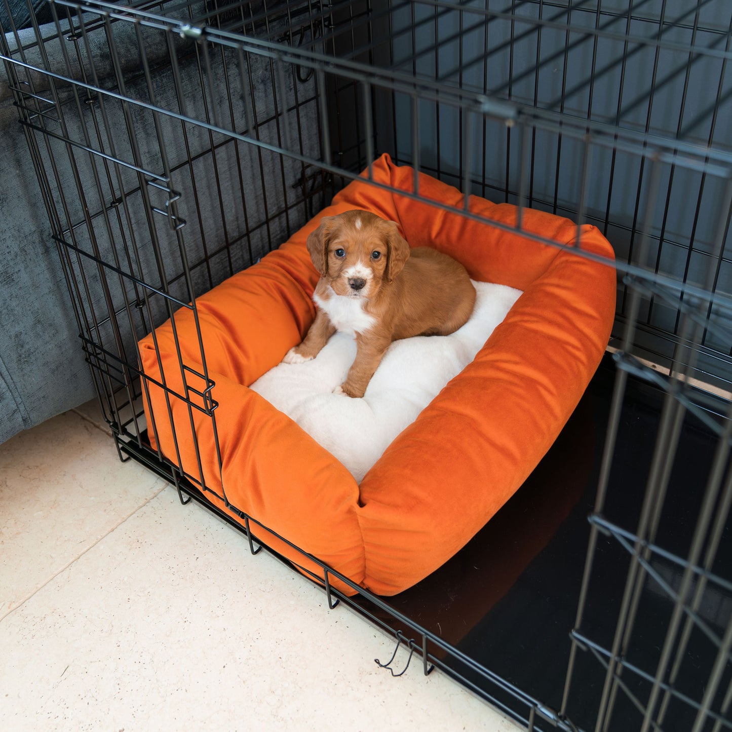 Cozy & Calming Puppy Cage Bed In Pumpkin Velvet By Lords & Labradors