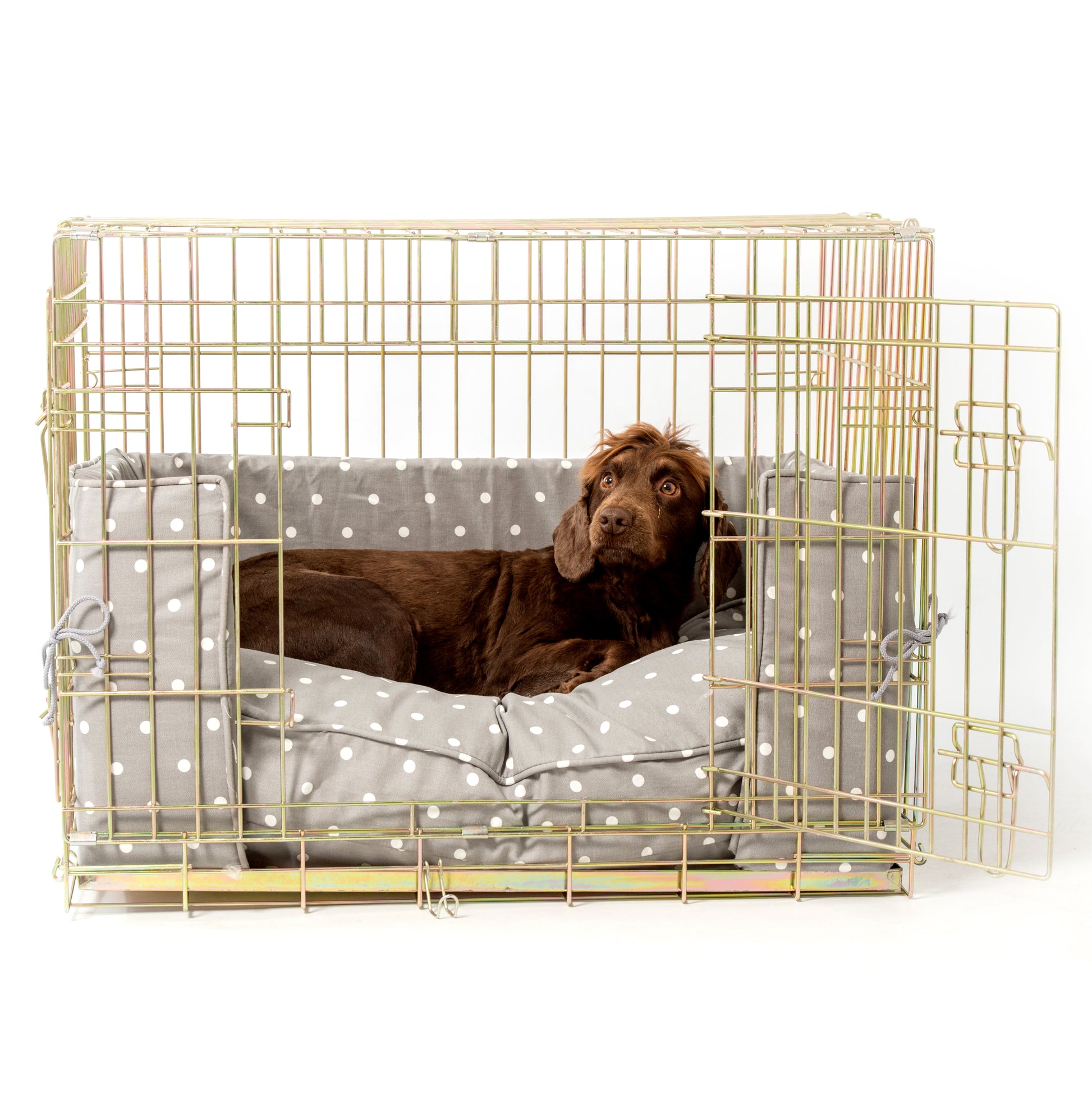 Luxury Gold Dog Cage Set With Cushion and Bumper. The Perfect Dog Cage For The Ultimate Naptime, Available Now at Lords & Labradors US