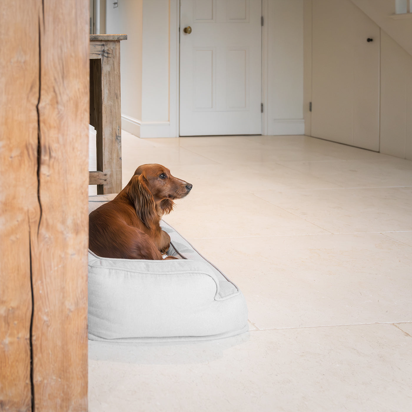 Present Your Furry Friend with the Perfect Dog Bed for The Ultimate Pet Nap-Time! Discover Our Luxury Deep Sleep Dog Bed In Stunning Alabaster! Available Now at Lords & Labradors US