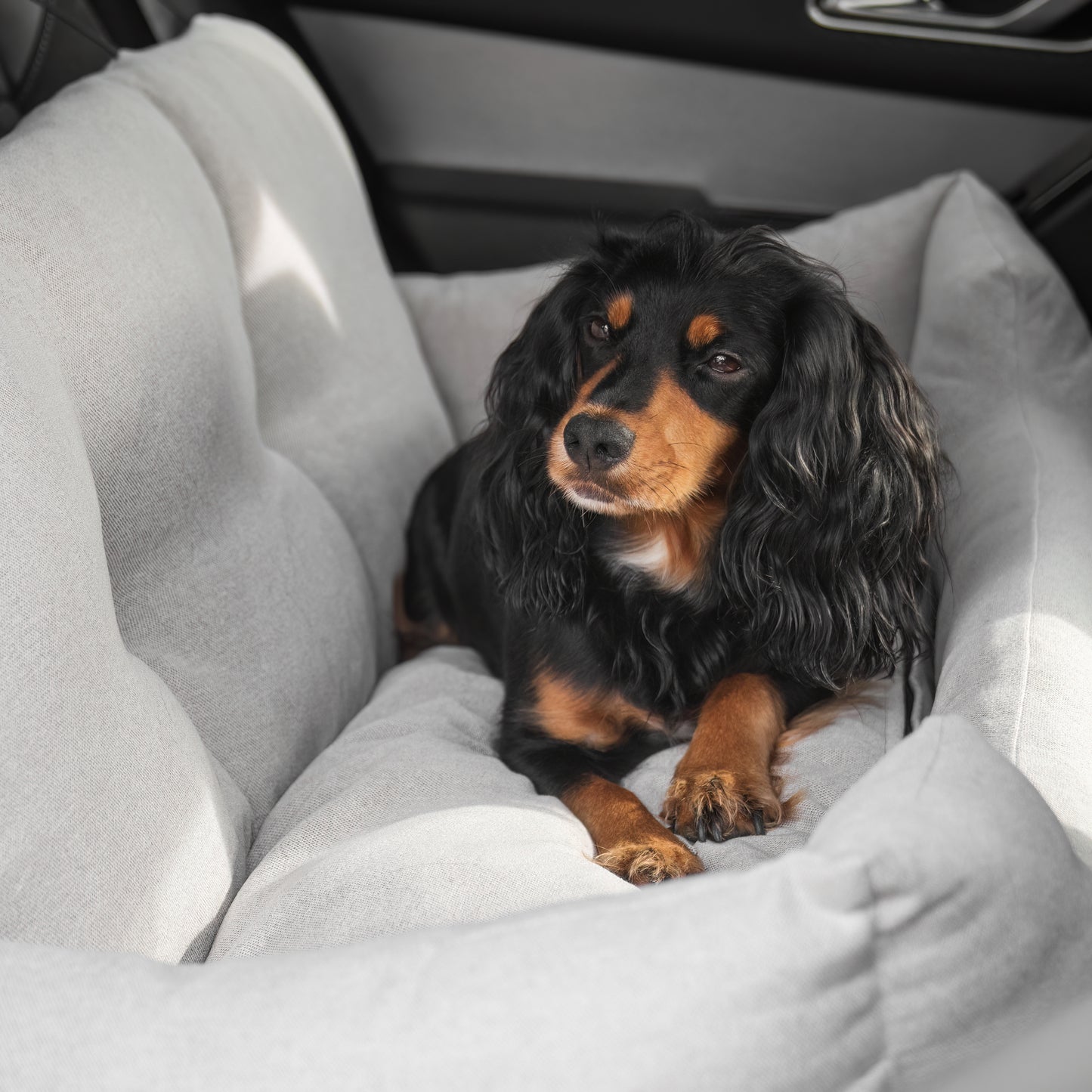 Embark on the perfect pet travel with our luxury Double Easy Traveller Seat, in two colors Truffle and Slate! Featuring removable inner cushion with cover for easy cleaning! Available now at Lords & Labradors US