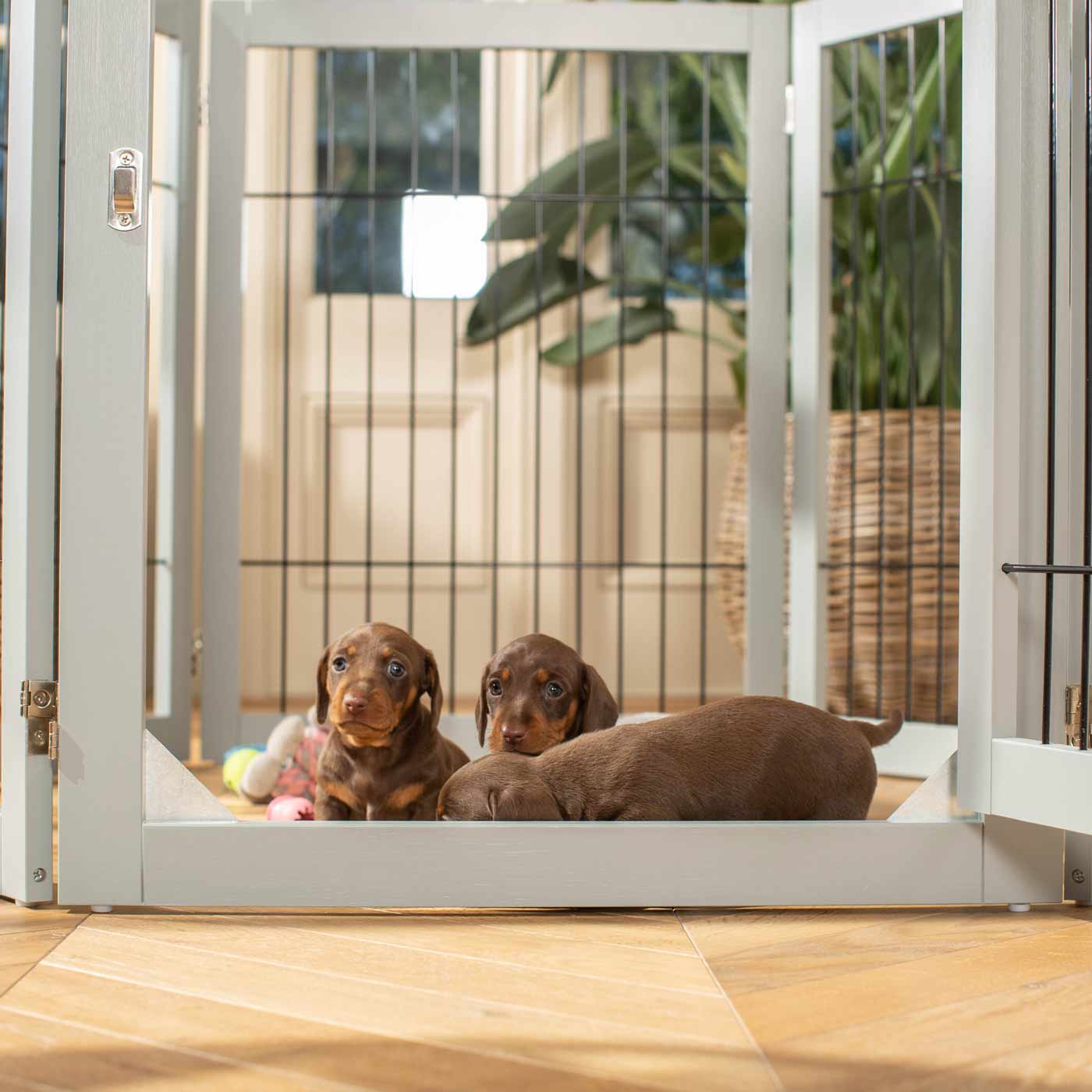 Ensure The Ultimate Puppy Safety with Our Heavy Duty Wooden Puppy Play Pen, Crafted to Take Your Pet Right Through Maturity! Powder Coated to Be Extra Hardwearing! 6 panels that are 80.5cm high! Available To Now at Lords & Labradors US