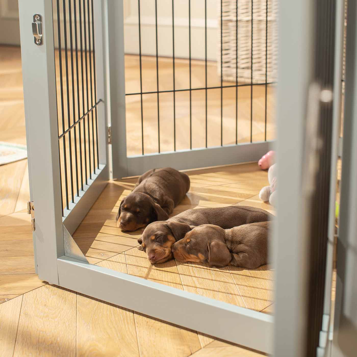 Ensure The Ultimate Puppy Safety with Our Heavy Duty Wooden Puppy Play Pen, Crafted to Take Your Pet Right Through Maturity! Powder Coated to Be Extra Hardwearing! 6 panels that are 80.5cm high! Available To Now at Lords & Labradors US