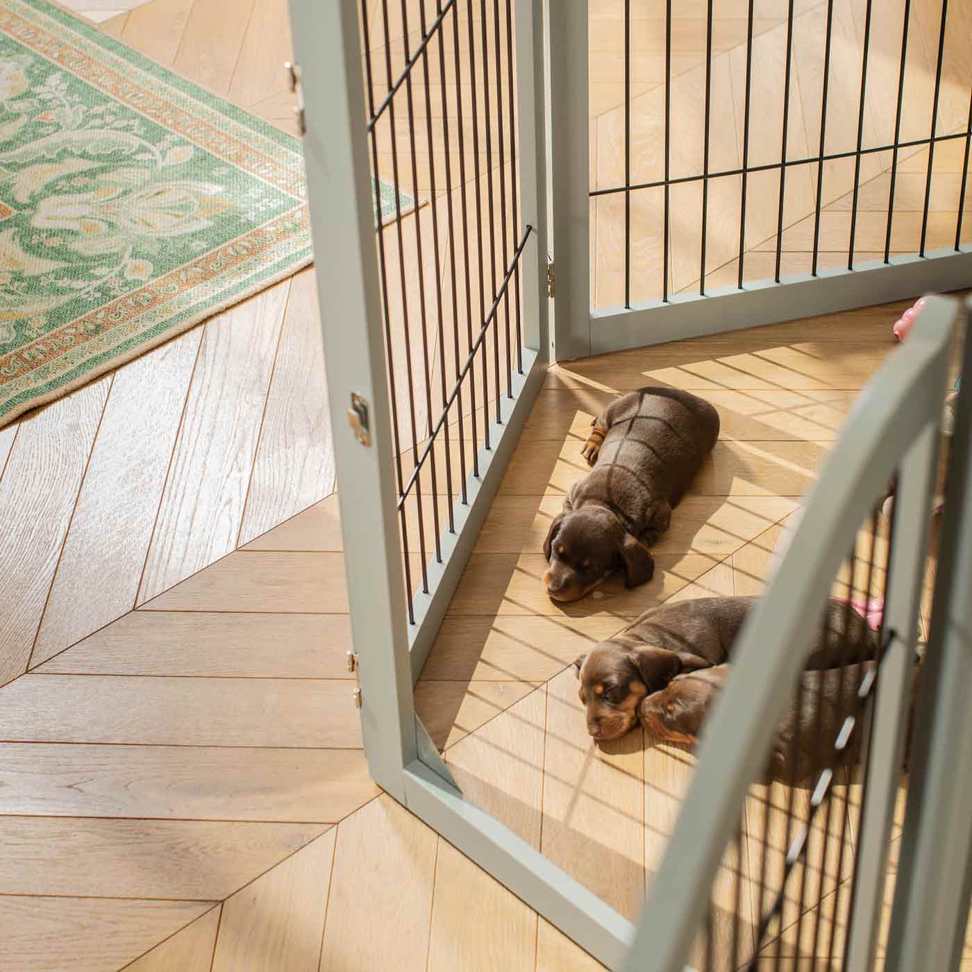 Ensure The Ultimate Puppy Safety with Our Heavy Duty Wooden Puppy Play Pen, Crafted to Take Your Pet Right Through Maturity! Powder Coated to Be Extra Hardwearing! 6 panels that are 80.5cm high! Available To Now at Lords & Labradors US