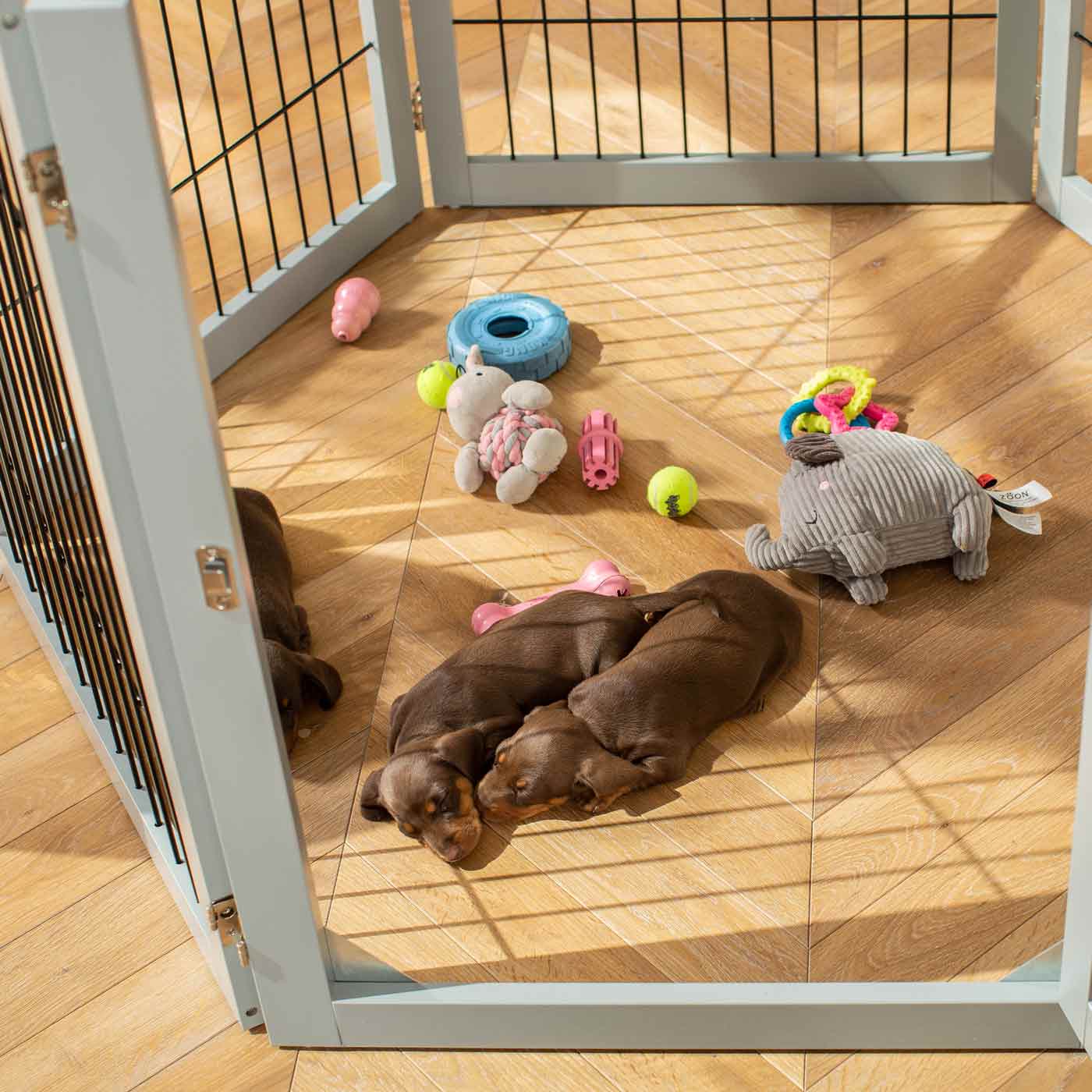 Ensure The Ultimate Puppy Safety with Our Heavy Duty Wooden Puppy Play Pen, Crafted to Take Your Pet Right Through Maturity! Powder Coated to Be Extra Hardwearing! 6 panels that are 80.5cm high! Available To Now at Lords & Labradors US