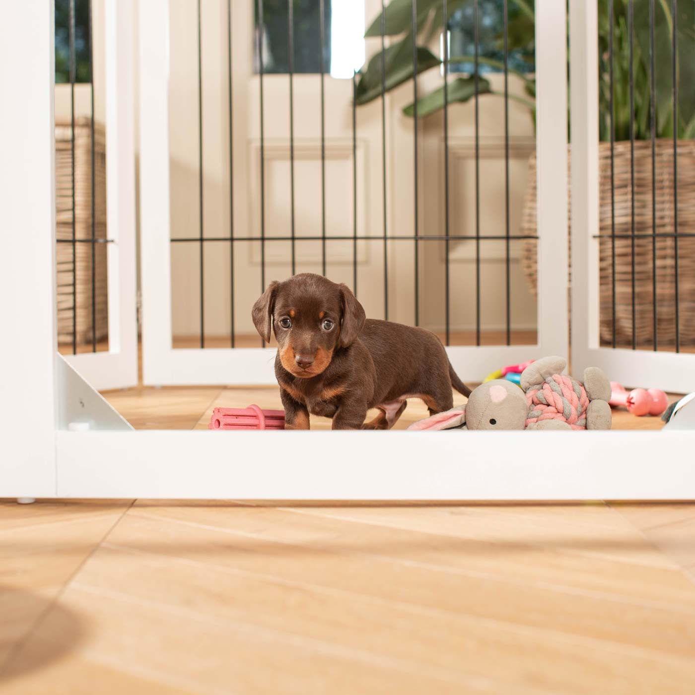 Ensure The Ultimate Puppy Safety with Our Heavy Duty Wooden Puppy Play Pen, Crafted to Take Your Pet Right Through Maturity! Powder Coated to Be Extra Hardwearing! 6 panels that are 80.5cm high! Available To Now at Lords & Labradors US