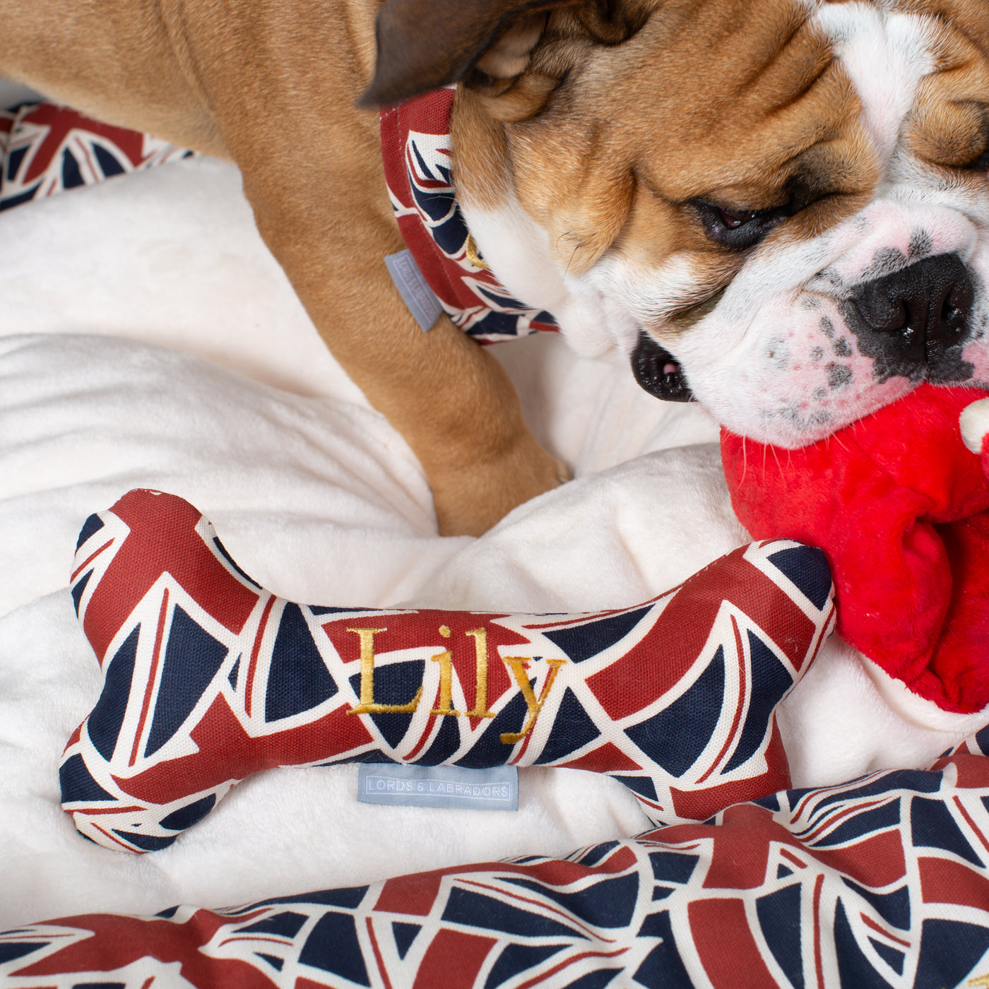 Discover The Perfect Bone For Dogs, Luxury Dog Bone Toy In Union Jack, Available To Personalize Now at Lords & Labradors US