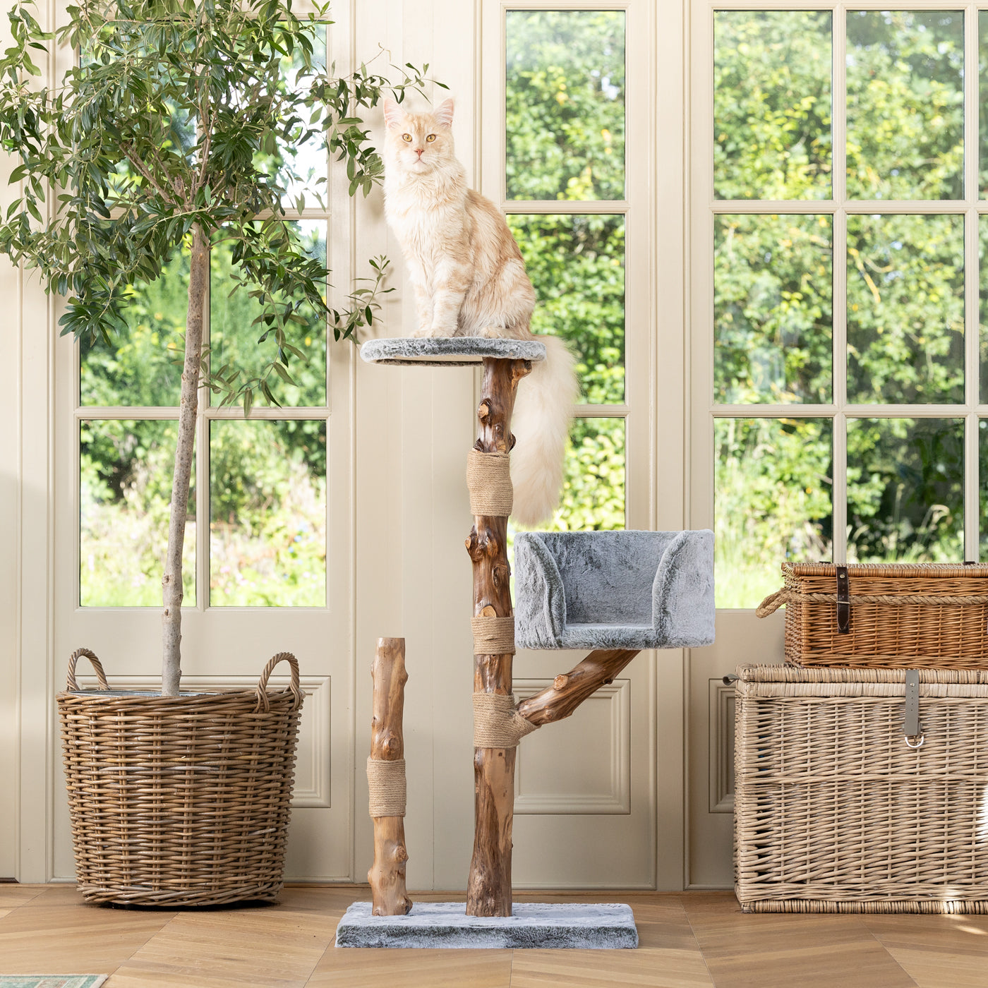 Back to Nature The Trio Cat Scratch Post - Main Image