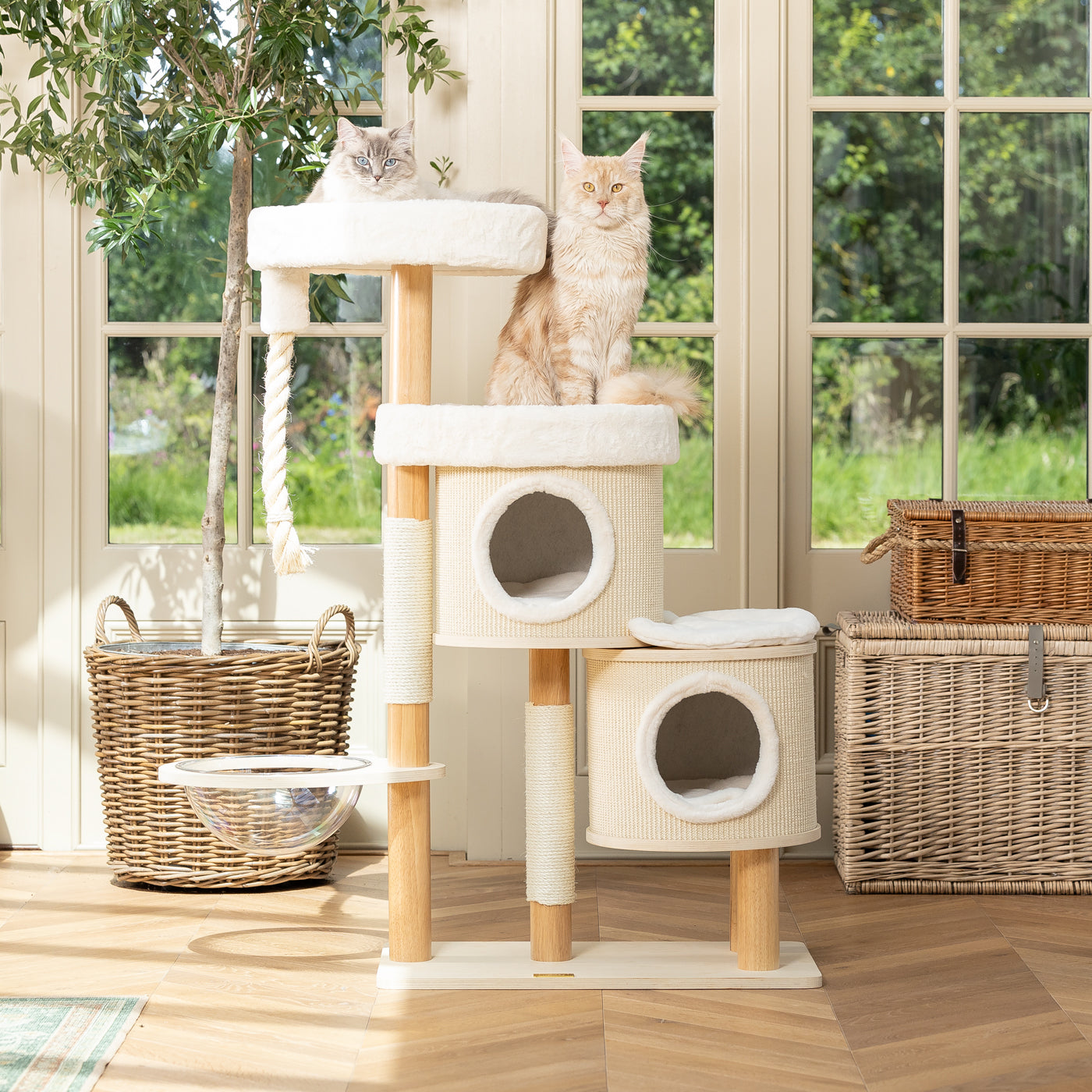 Cat scratcher tree house best sale