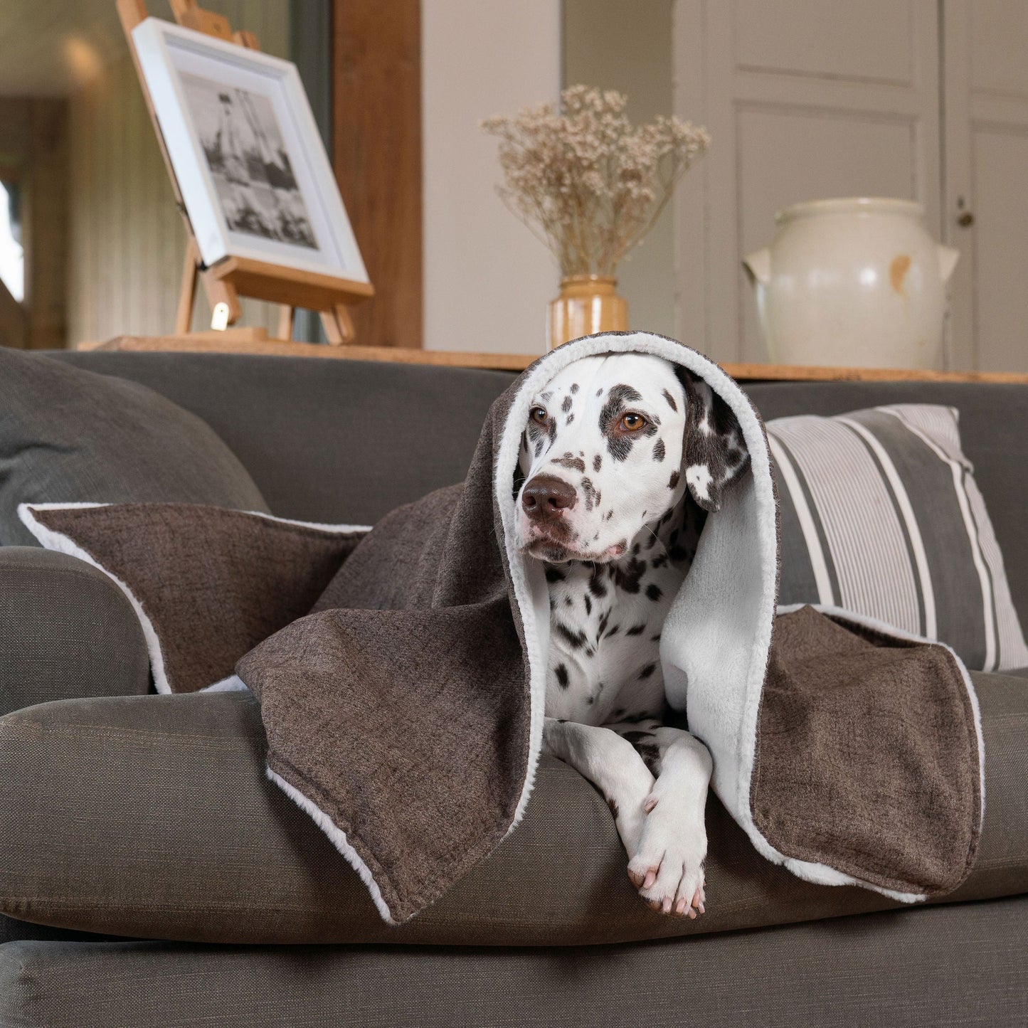 Discover The Perfect Blanket For Dogs! Help Delve Into a Cosy Burrow After Walks, Bath-Time or a Lazy Day Indoors! With Our Inchmurrin Dog Blanket In Stunning Brown Ember! Available To Personalise Now at Lords & Labradors