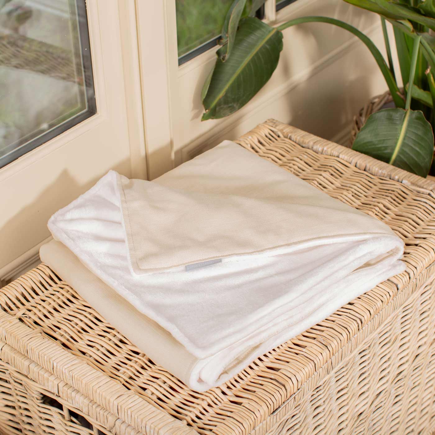 Cat & Kitten Savanna Blanket By Lords & Labradors