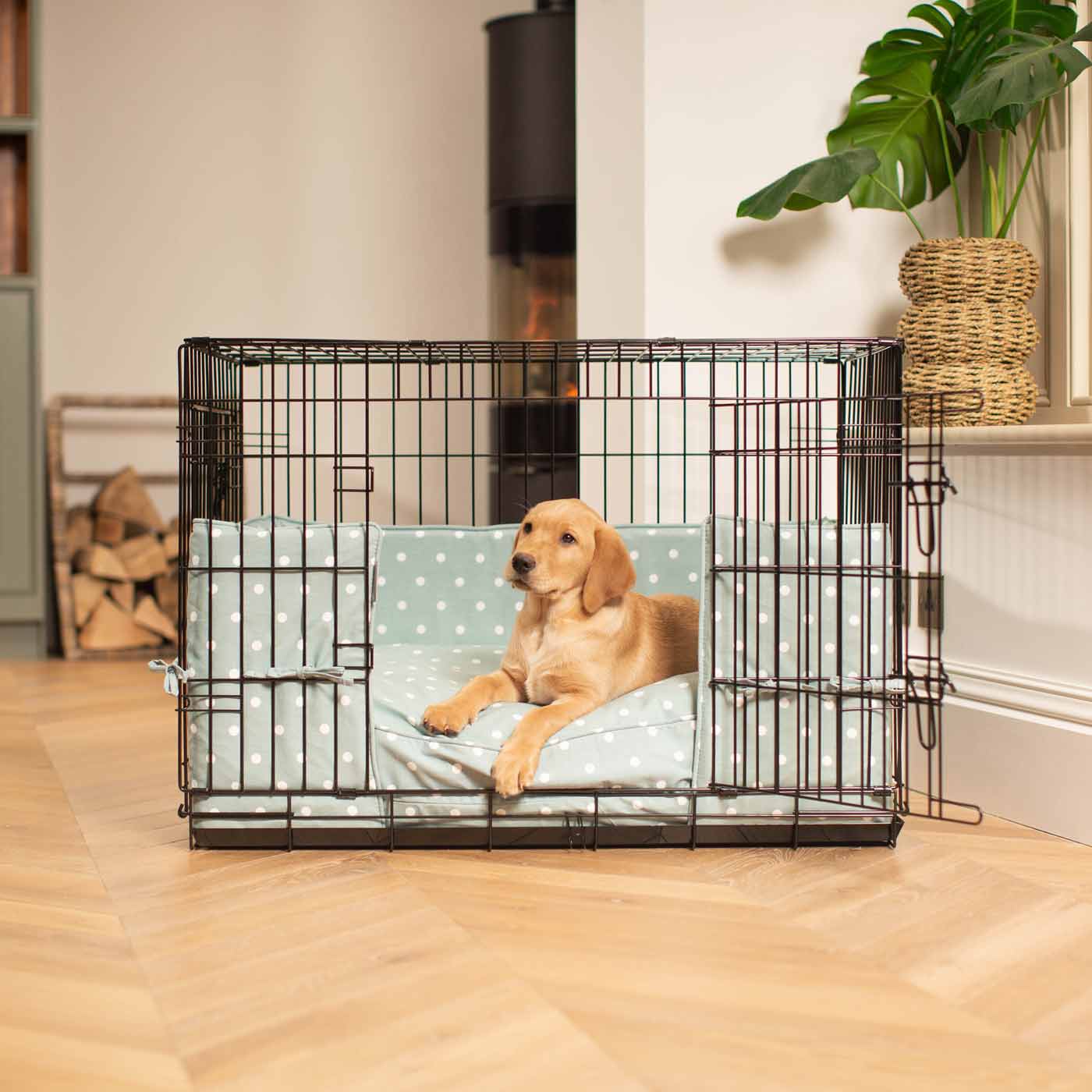 Dog Cage with Cushion & Bumper in Duck Egg Spot by Lords & Labradors