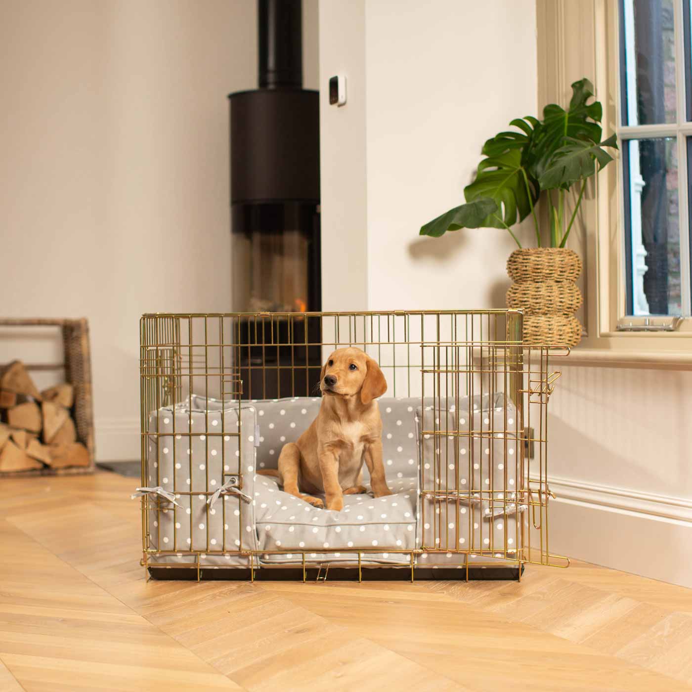 Dog Cage with Cushion & Bumper in Grey Spot by Lords & Labradors