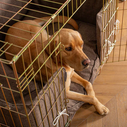Dog Cage with Cushion & Bumper in Inchmurrin Umber by Lords & Labradors