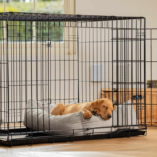 Dog Cage with Cozy & Calming Puppy Cage Bed in Inchmurrin Ground by Lords & Labradors