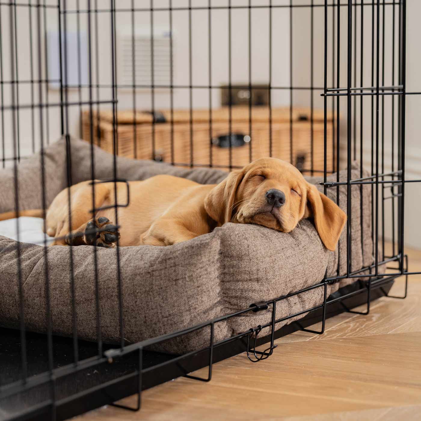 Inchmurrin Cosy & Calm Puppy Box Bed, The Perfect Dog Crate Bed For Pets! To Build The Ultimate Dog Den! In Brown Ember! Available To Personalise Now at Lords & Labradors