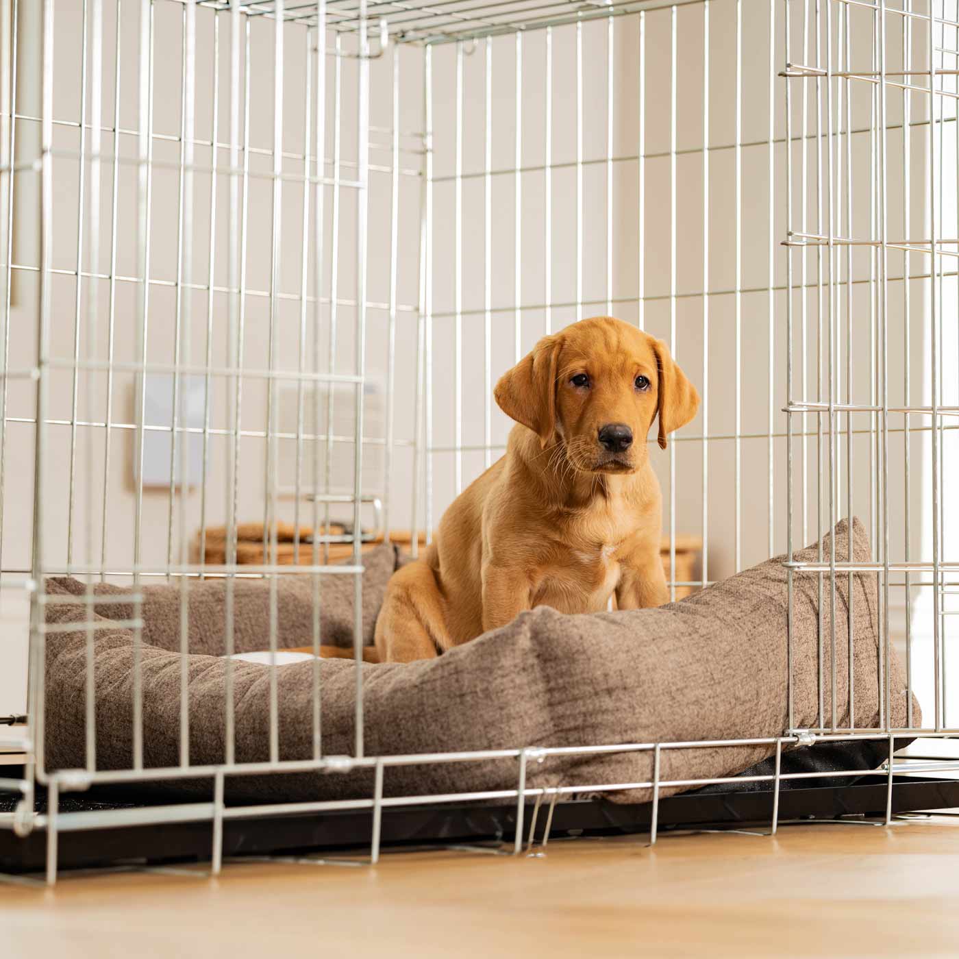 Inchmurrin Cosy & Calm Puppy Box Bed, The Perfect Dog Crate Bed For Pets! To Build The Ultimate Dog Den! In Brown Ember! Available To Personalise Now at Lords & Labradors