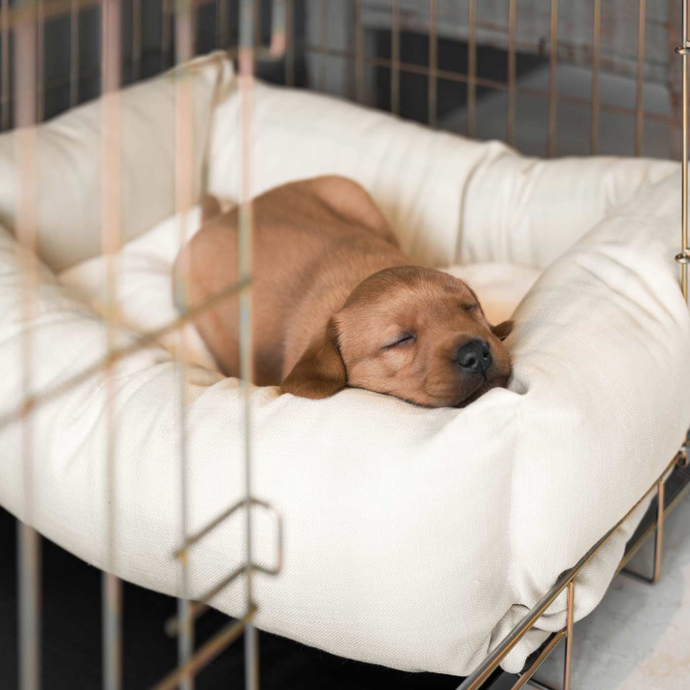 Cozy & Calm Puppy Cage Bed, The Perfect Dog Cage Accessory For The Ultimate Dog Den! In Stunning Savanna Bone! Available Now at Lords & Labradors US