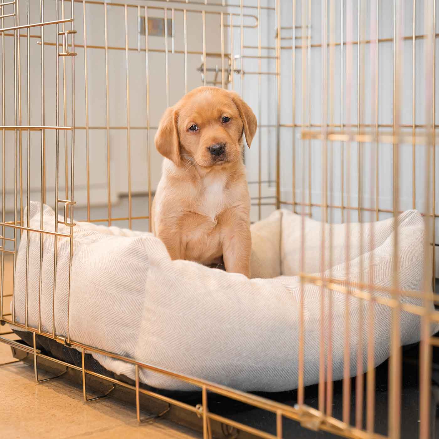 Dog Cage with Cozy & Calming Puppy Cage Bed in Natural Herringbone by Lords & Labradors