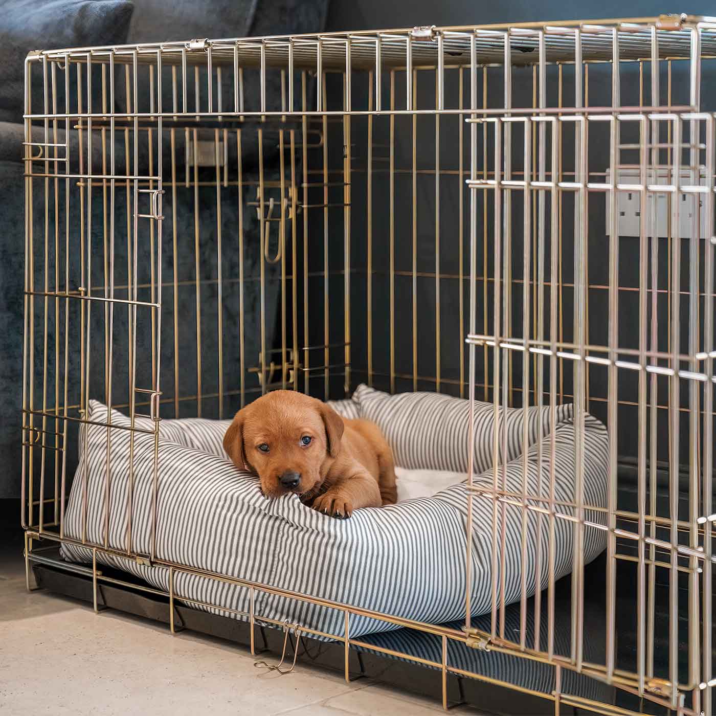 Cozy & Calming Puppy Cage Bed in Spots and Stripes, The Perfect Dog Cage Accessory For The Ultimate Dog Den! In Stunning Regency Stripe! Available To Personalize at Lords & Labradors US