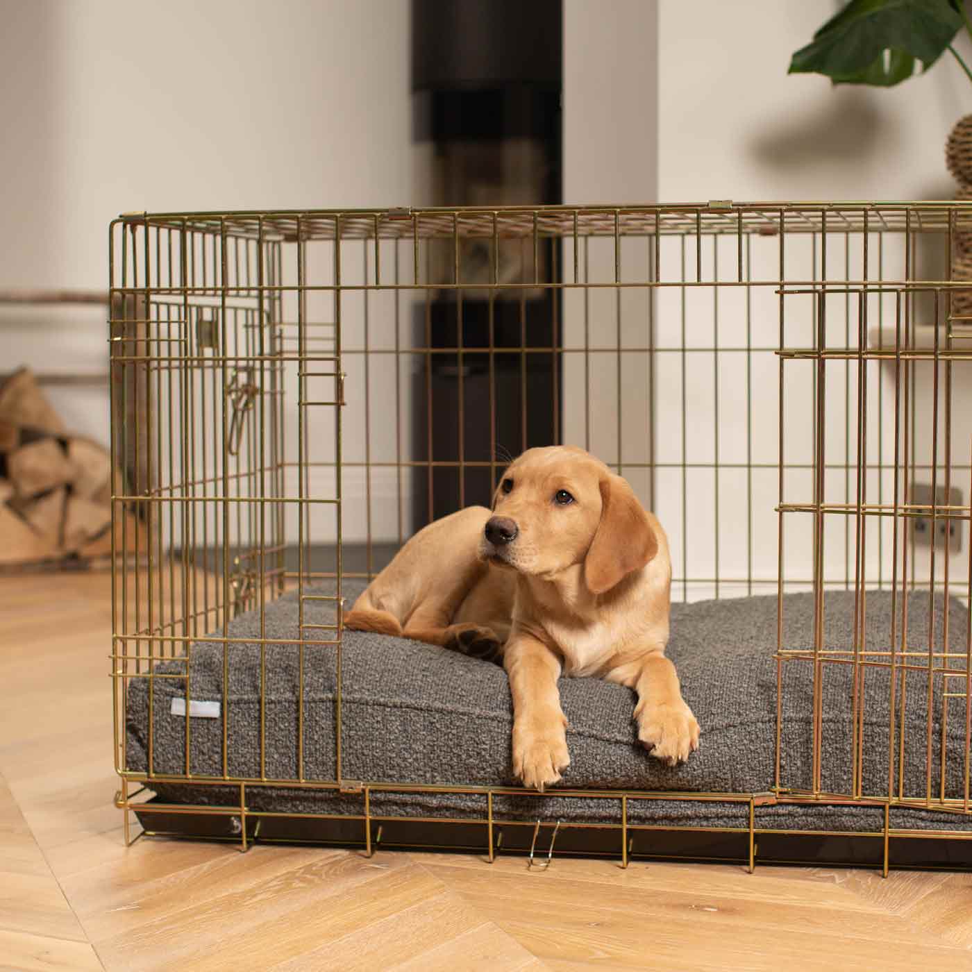 Dog Cushion in Granite Bouclé by Lords & Labradors