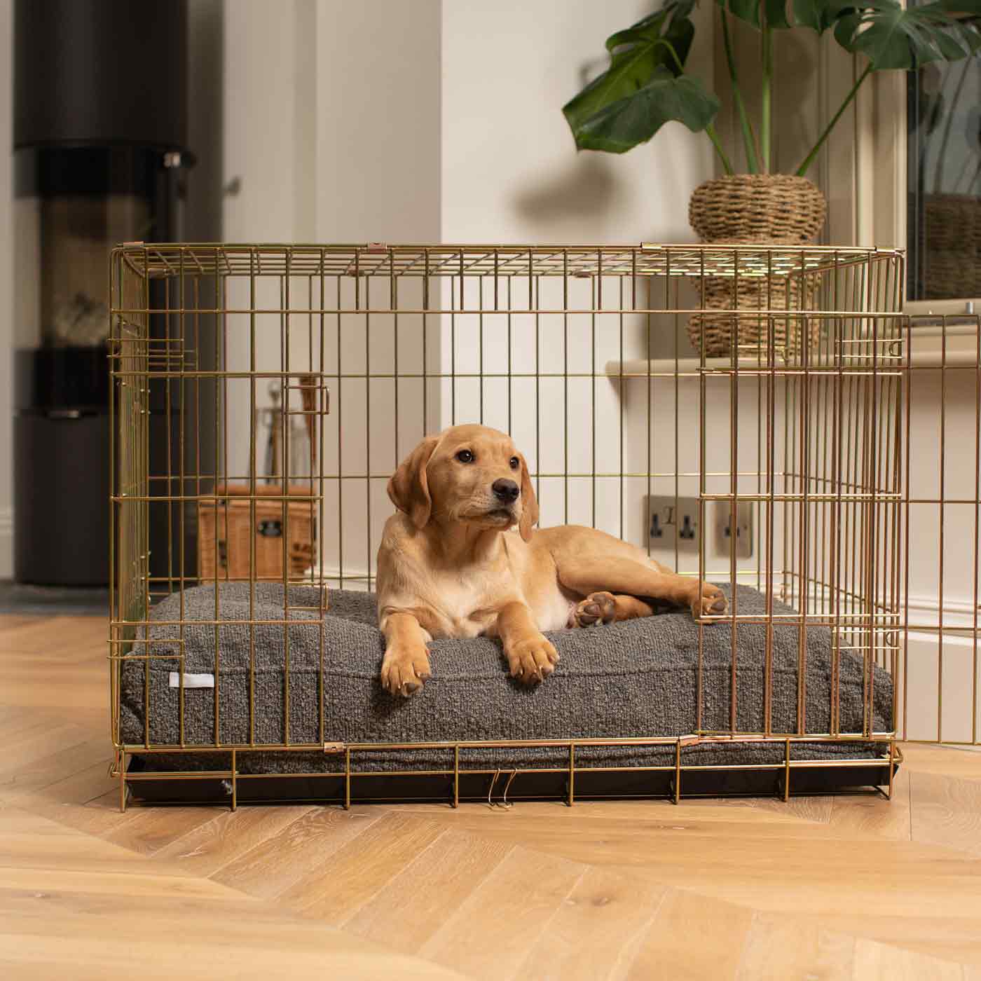 Dog Cushion in Granite Bouclé by Lords & Labradors