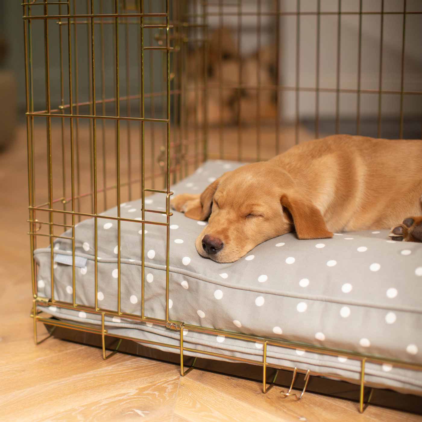 Luxury Gold Dog Cage Set With Cushion, Bumper and Cage Cover. The Perfect Dog Cage For The Ultimate Naptime, Available Now at Lords & Labradors US