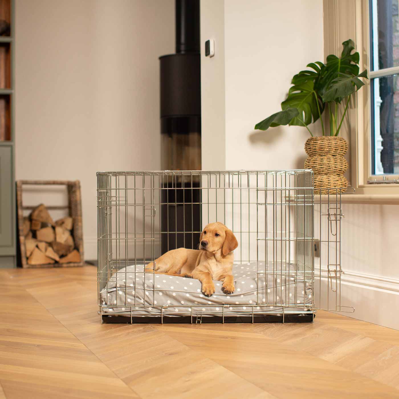 Luxury Silver Dog Cage Set With Cushion, Bumper and Cage Cover. The Perfect Dog Cage For The Ultimate Naptime, Available Now at Lords & Labradors US