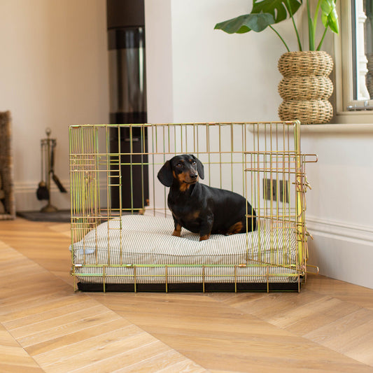 Luxury Dog Cushion, in Regency Stripe. The Perfect Dog Cage For The Ultimate Naptime, Available Now at Lords & Labradors US