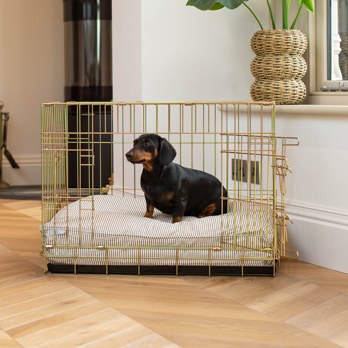 Luxury Dog Cushion, in Regency Stripe. The Perfect Dog Cage For The Ultimate Naptime, Available Now at Lords & Labradors US