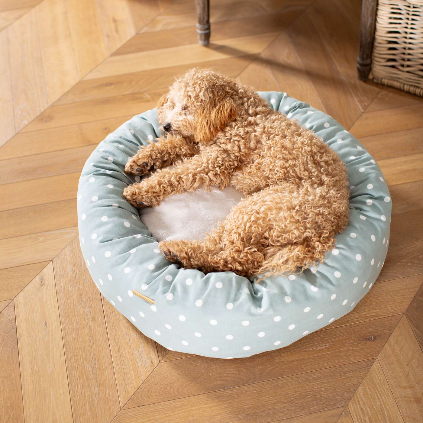Discover Our Handmade Luxury Donut Dog Bed, In Duck Egg Spot, The Perfect Choice For Puppies Available Now at Lords & Labradors US
