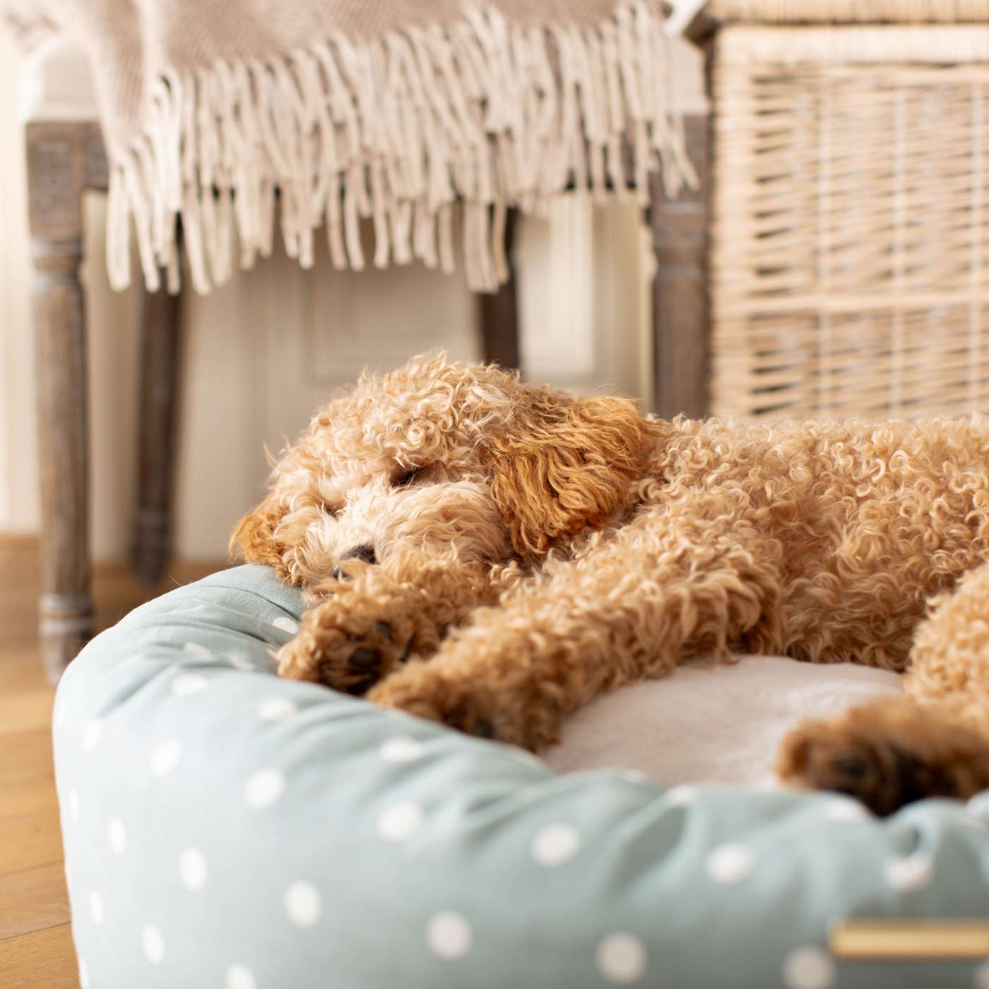 Discover Our Handmade Luxury Donut Dog Bed, In Duck Egg Spot, The Perfect Choice For Puppies Available Now at Lords & Labradors US