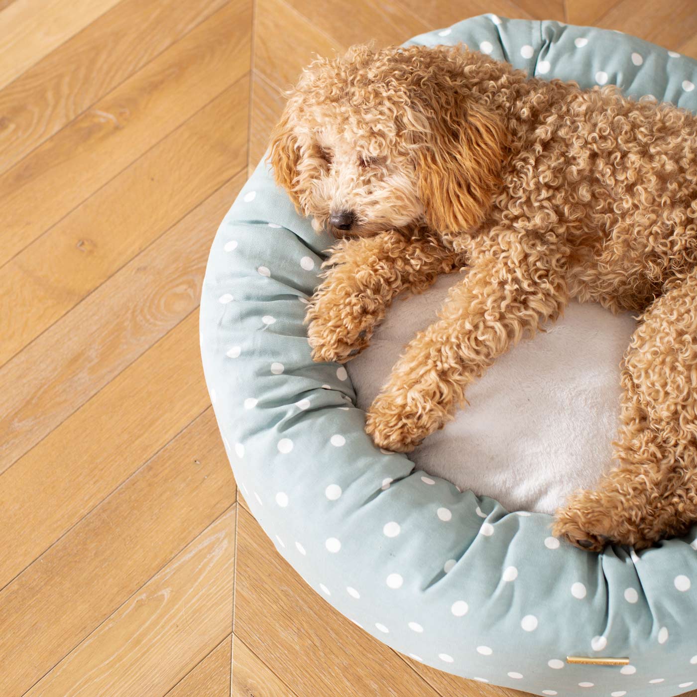 Discover Our Handmade Luxury Donut Dog Bed, In Duck Egg Spot, The Perfect Choice For Puppies Available Now at Lords & Labradors US