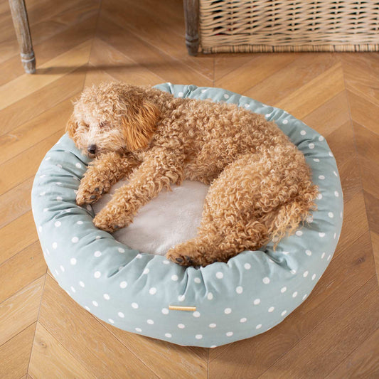 Discover Our Handmade Luxury Donut Dog Bed, In Duck Egg Spot, The Perfect Choice For Puppies Available Now at Lords & Labradors US