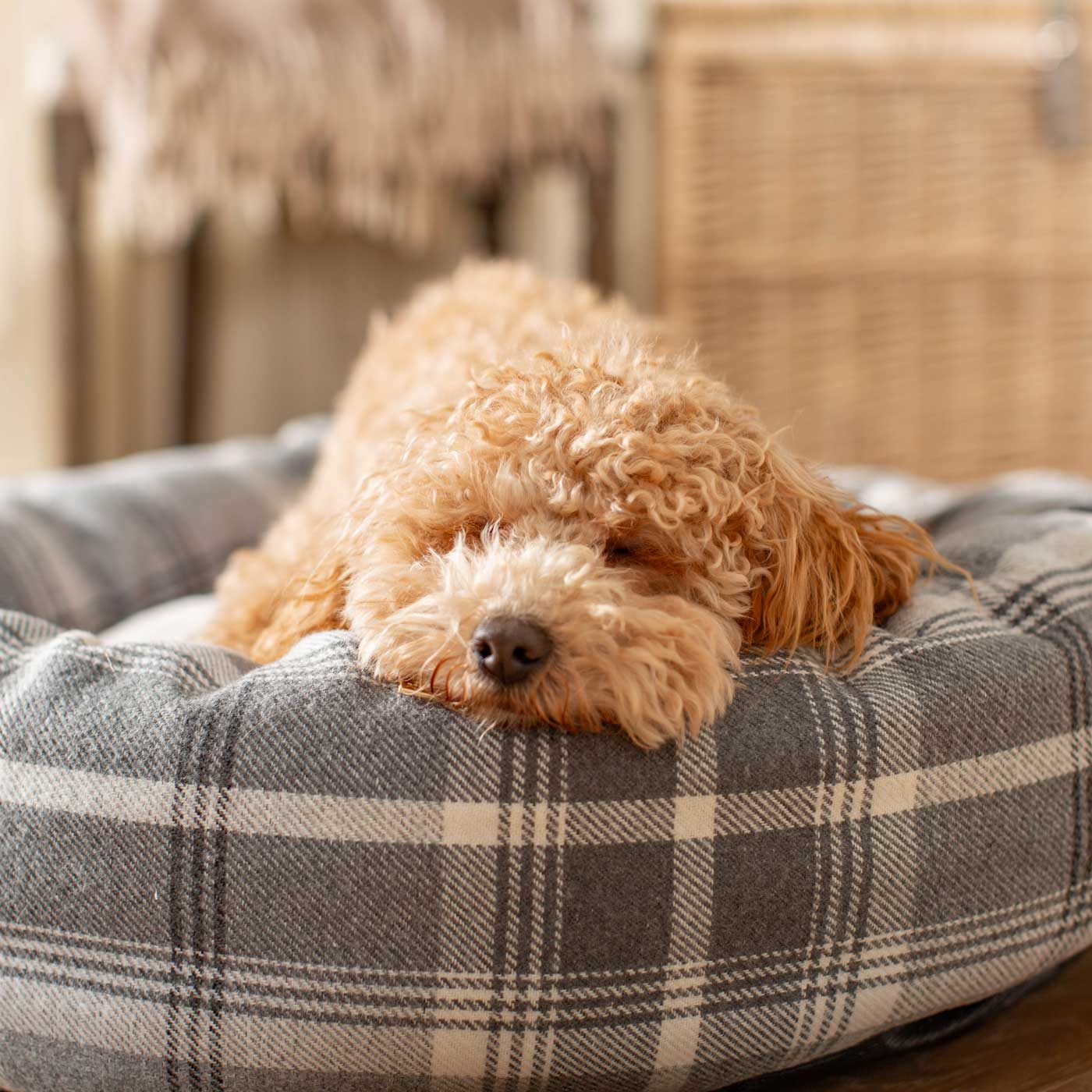 Discover Our Handmade Luxury Donut Dog Bed, In Dove Grey Tweed, The Perfect Choice For Puppies Available Now at Lords & Labradors US