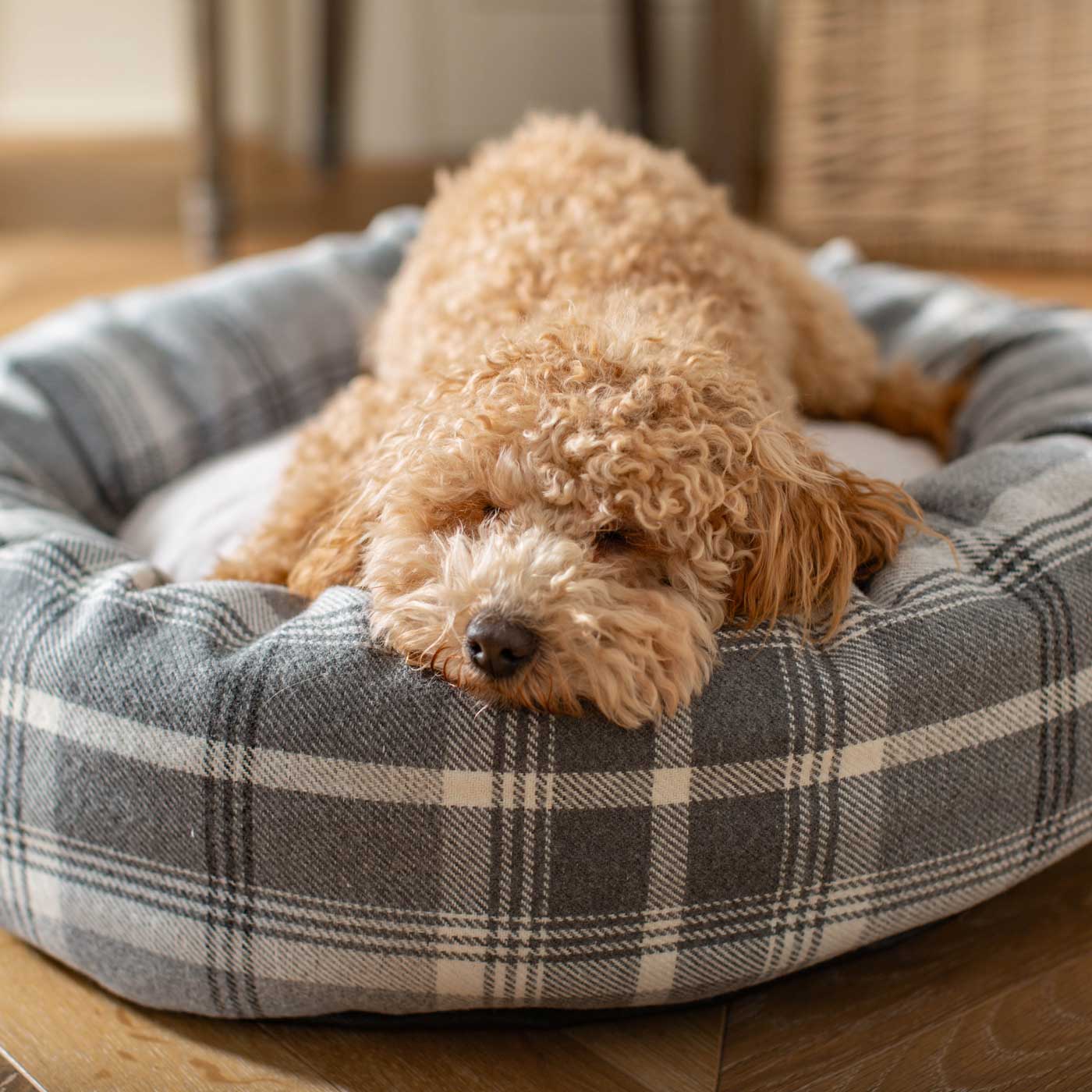 Discover Our Handmade Luxury Donut Dog Bed, In Dove Grey Tweed, The Perfect Choice For Puppies Available Now at Lords & Labradors US