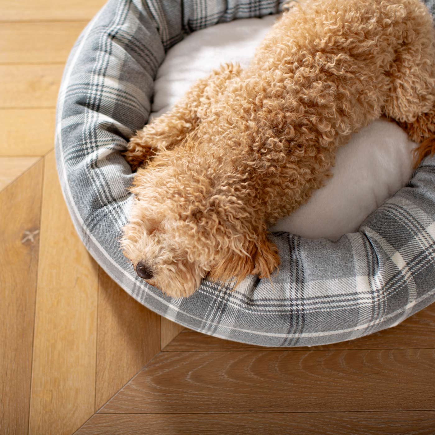 Discover Our Handmade Luxury Donut Dog Bed, In Dove Grey Tweed, The Perfect Choice For Puppies Available Now at Lords & Labradors US