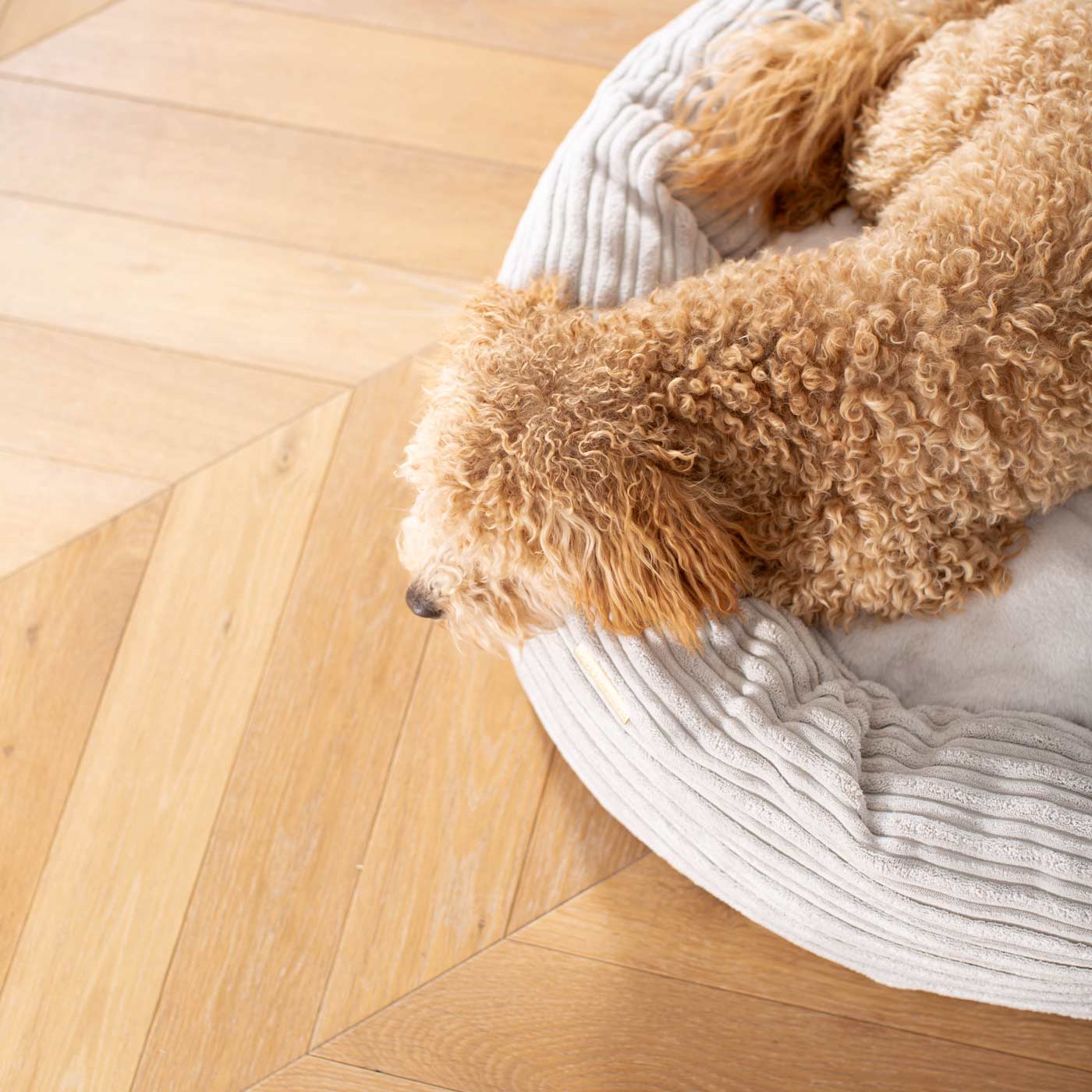 Discover Our Handmade Luxury Donut Dog Bed, In Light Grey Essentials Plush, The Perfect Choice For Puppies Available Now at Lords & Labradors US