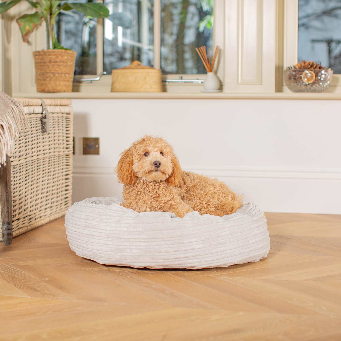 Discover Our Handmade Luxury Donut Dog Bed, In Light Grey Essentials Plush, The Perfect Choice For Puppies Available Now at Lords & Labradors US